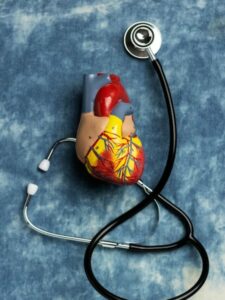 view-anatomic-heart-model-educational-purpose-with-stethoscope_23-2149894474