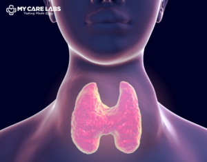 Everything on Thyroid Disease Symptoms, Problems & Gland Issues